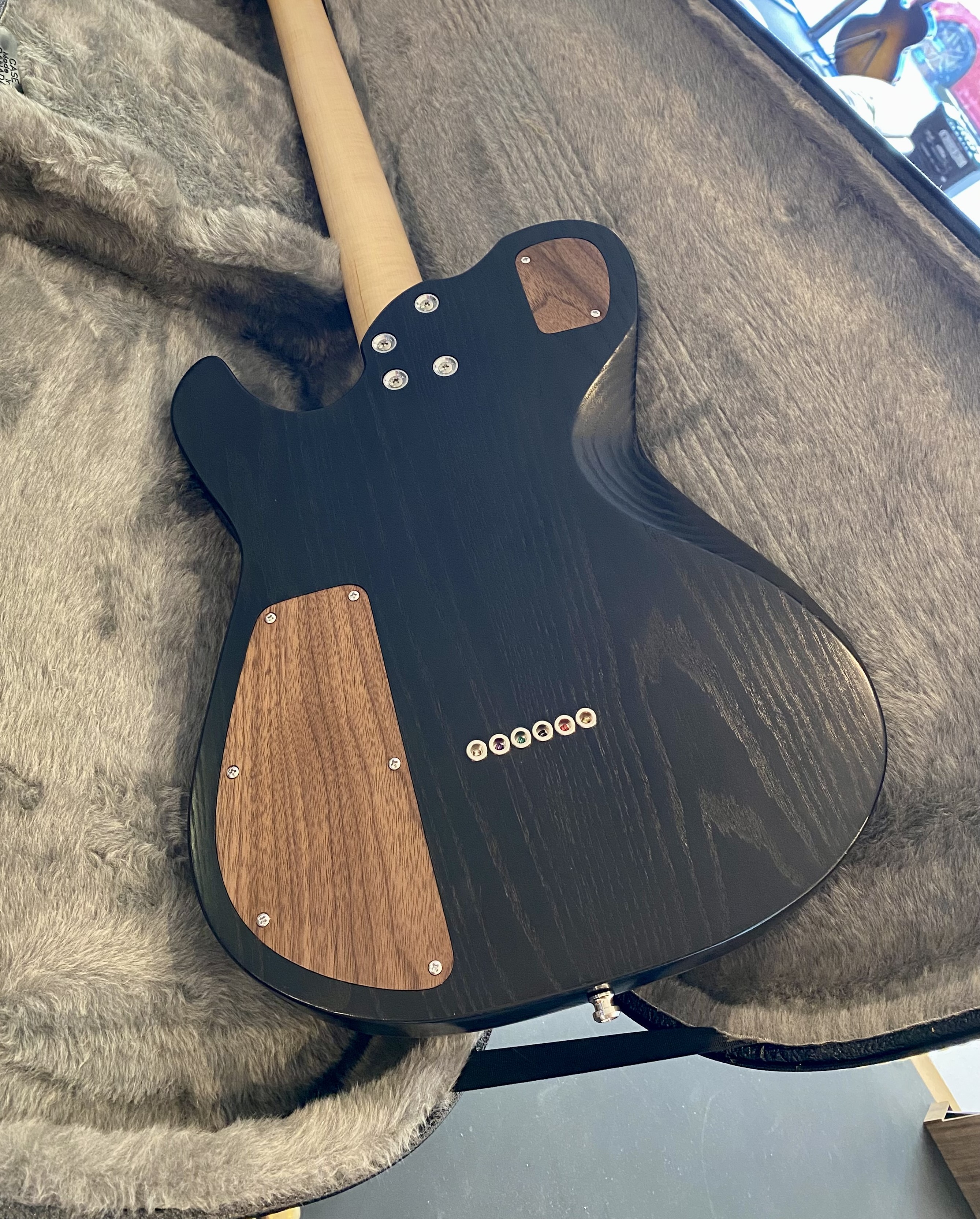 Boréal Béluga #2
