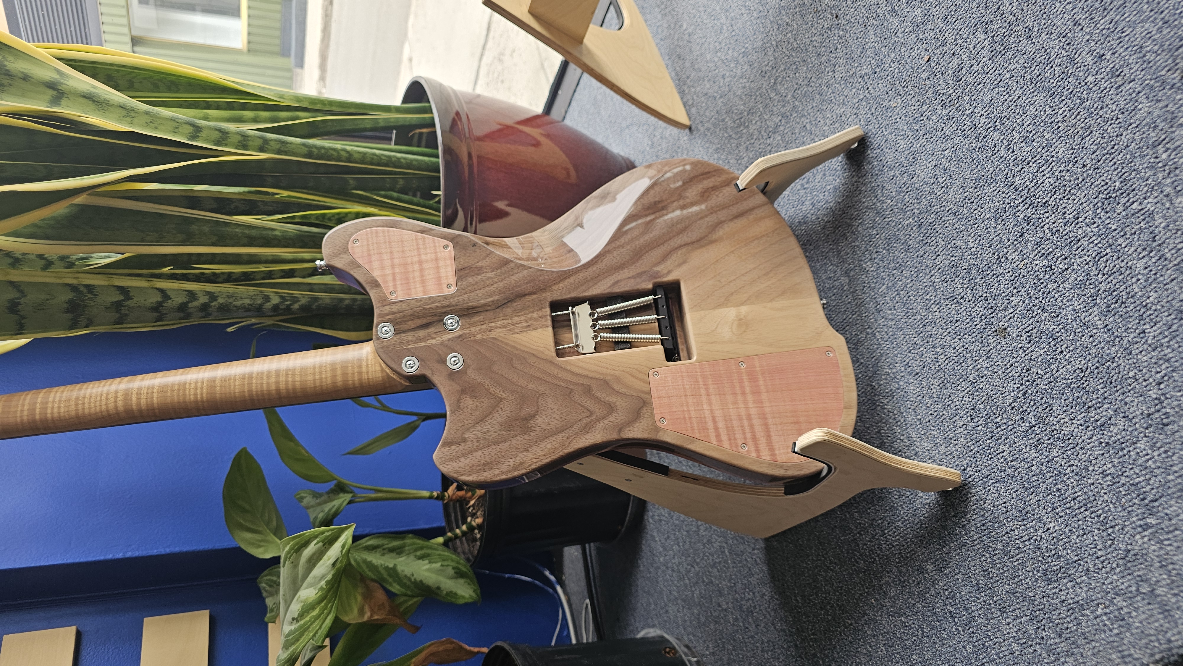 Boréal Albatros #1